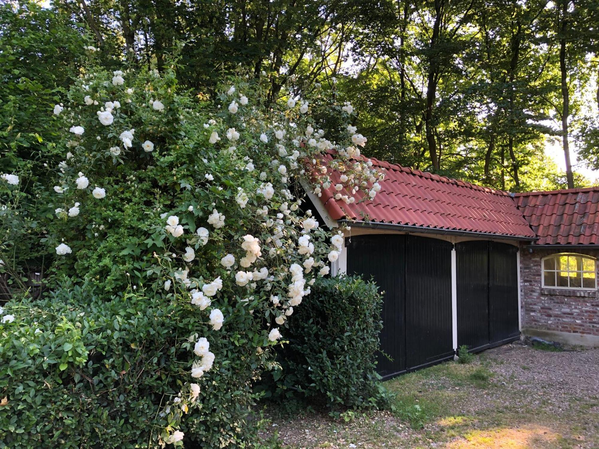 De Zeilende Kraay 호텔 Katwijk 외부 사진